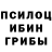 Псилоцибиновые грибы MAGIC MUSHROOMS Max Tarantino