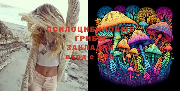 мдпв Галич